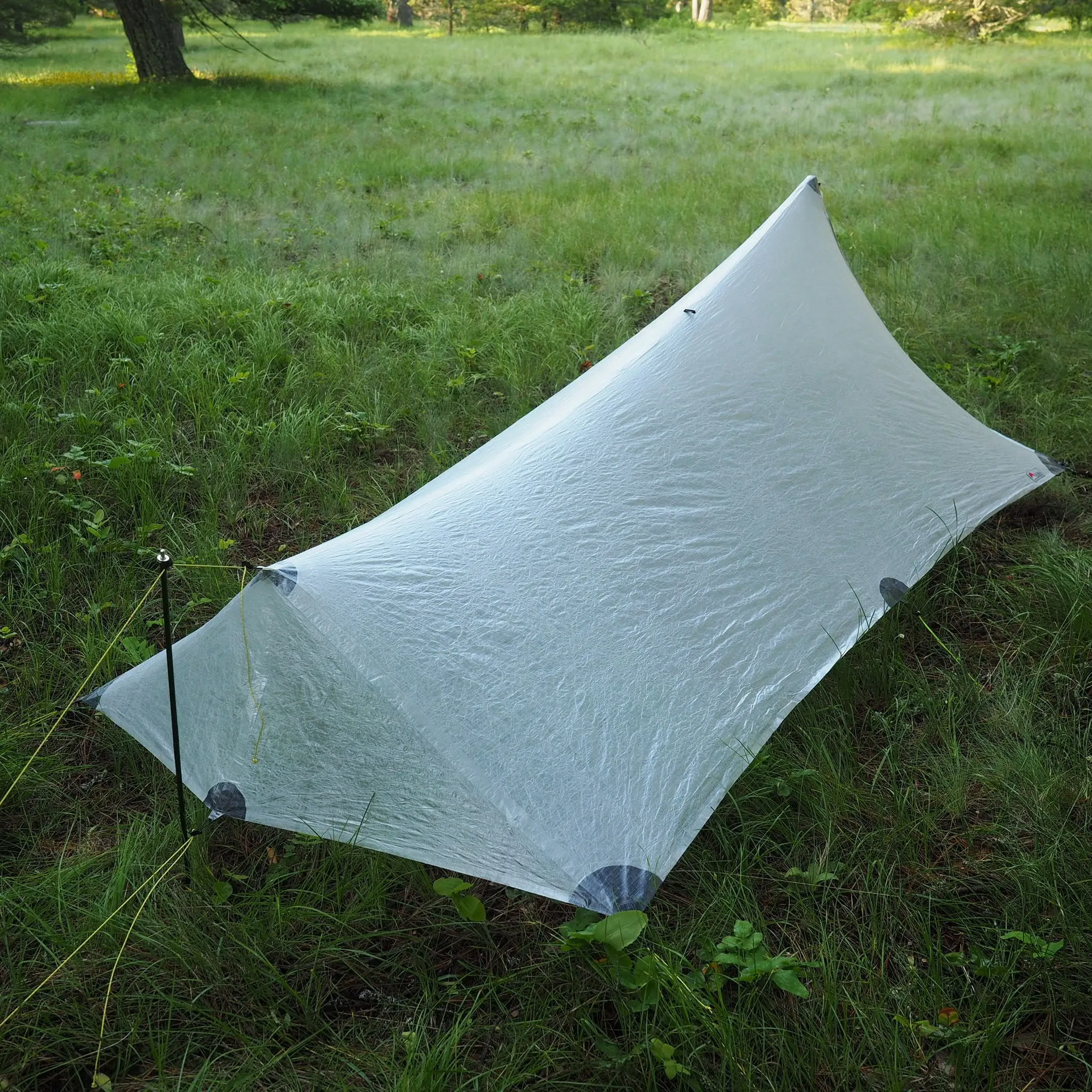 1P Cirriform Tarp - DCF