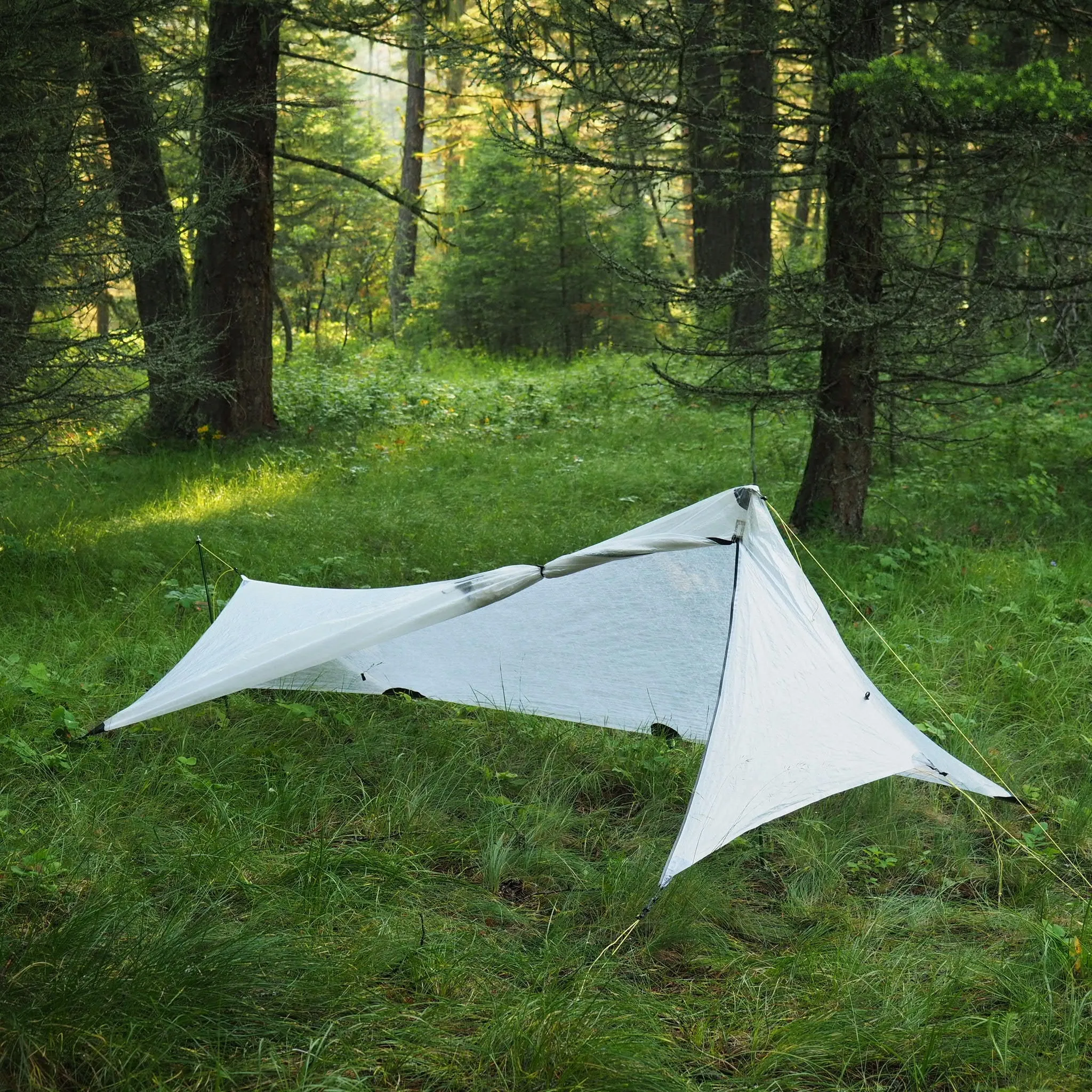 1P Cirriform Tarp - DCF