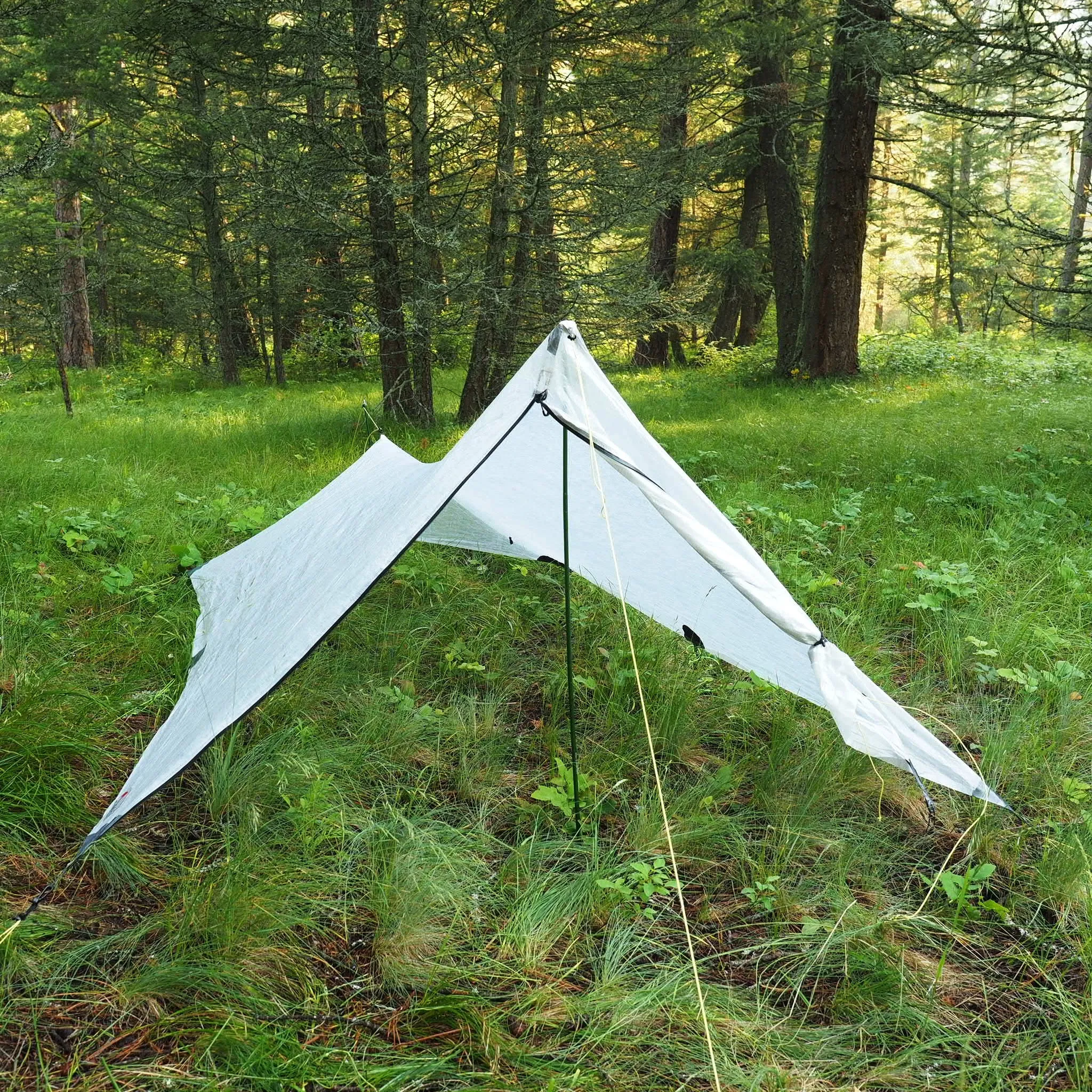 1P Cirriform Tarp - DCF