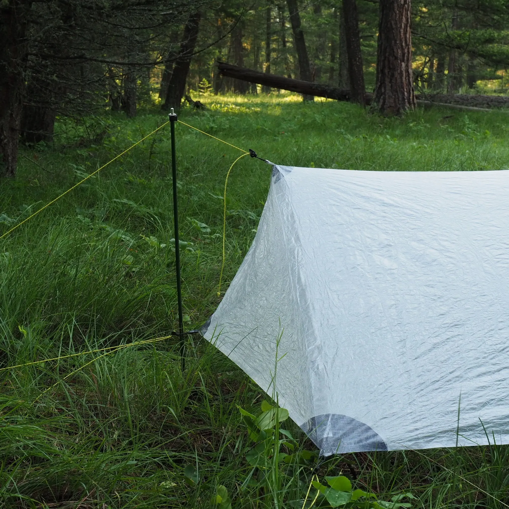 1P Cirriform Tarp - DCF