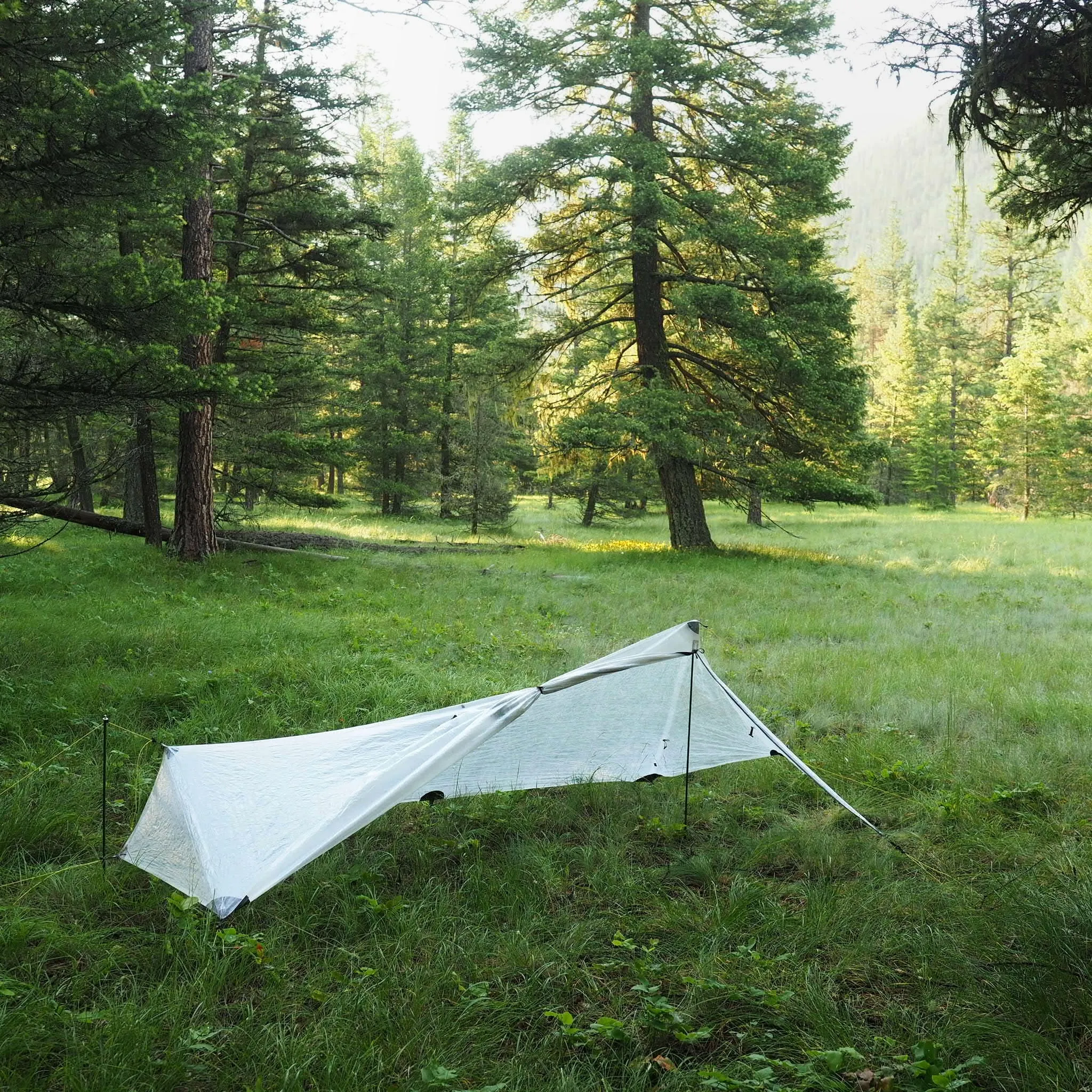 1P Cirriform Tarp - DCF