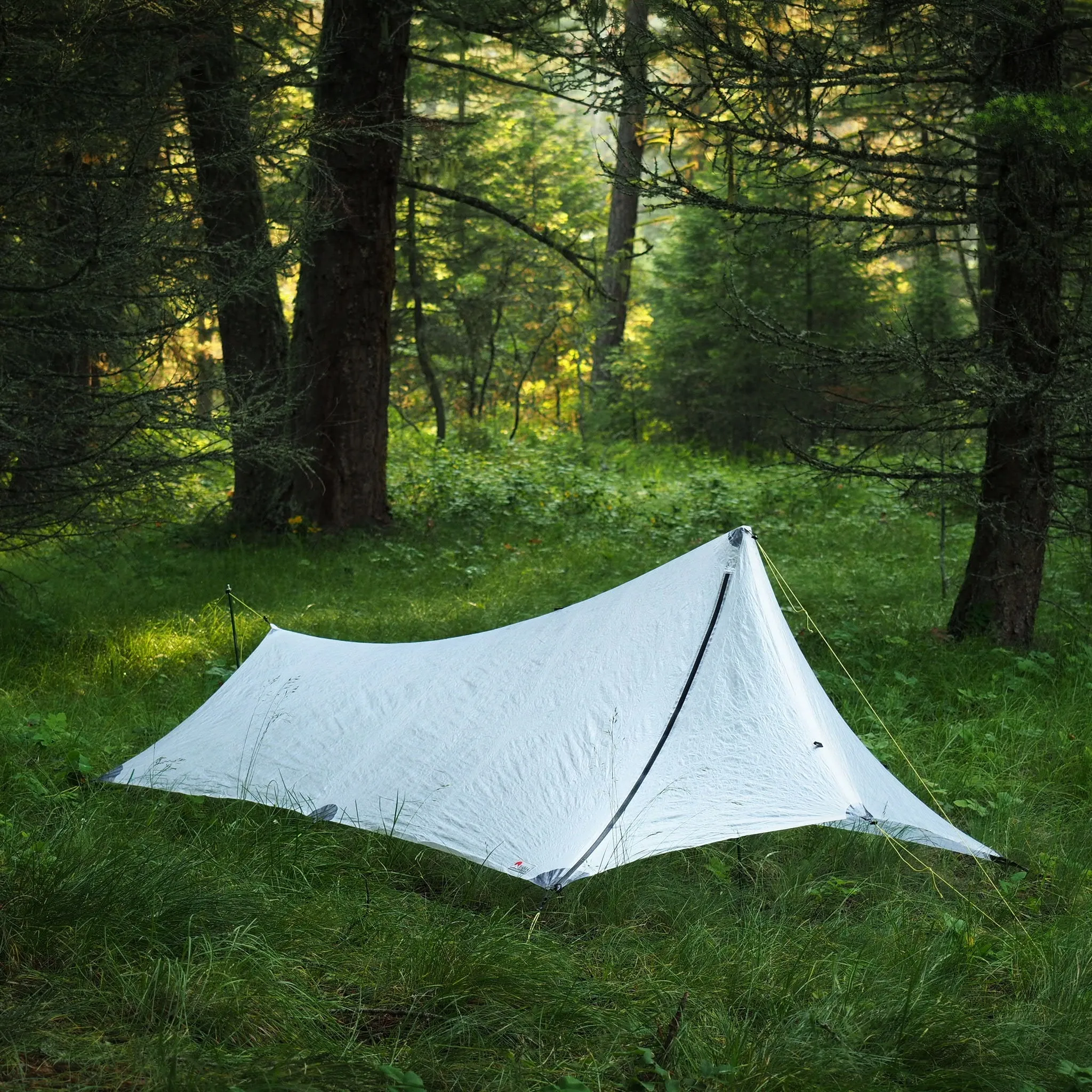 1P Cirriform Tarp - DCF