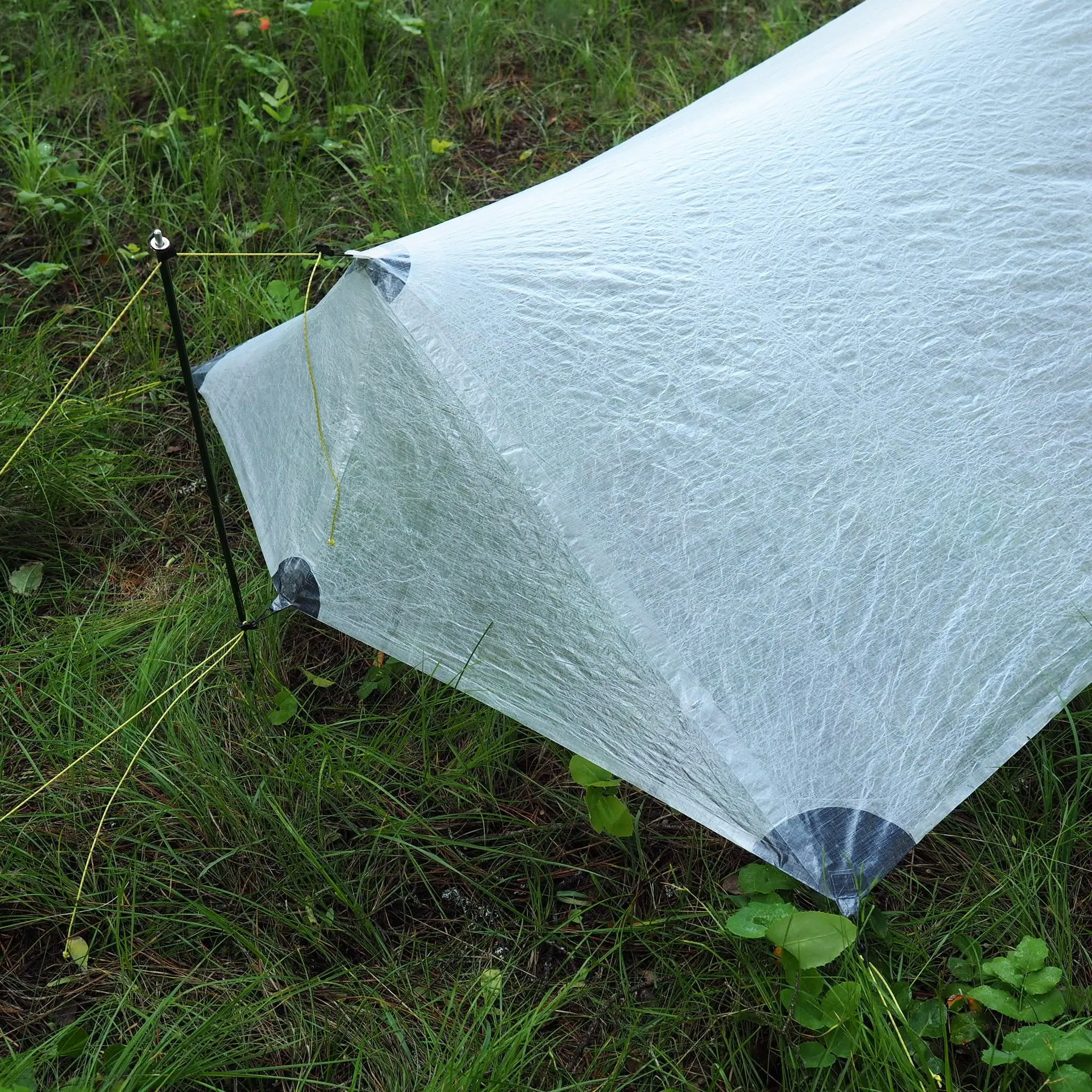 1P Cirriform Tarp - DCF