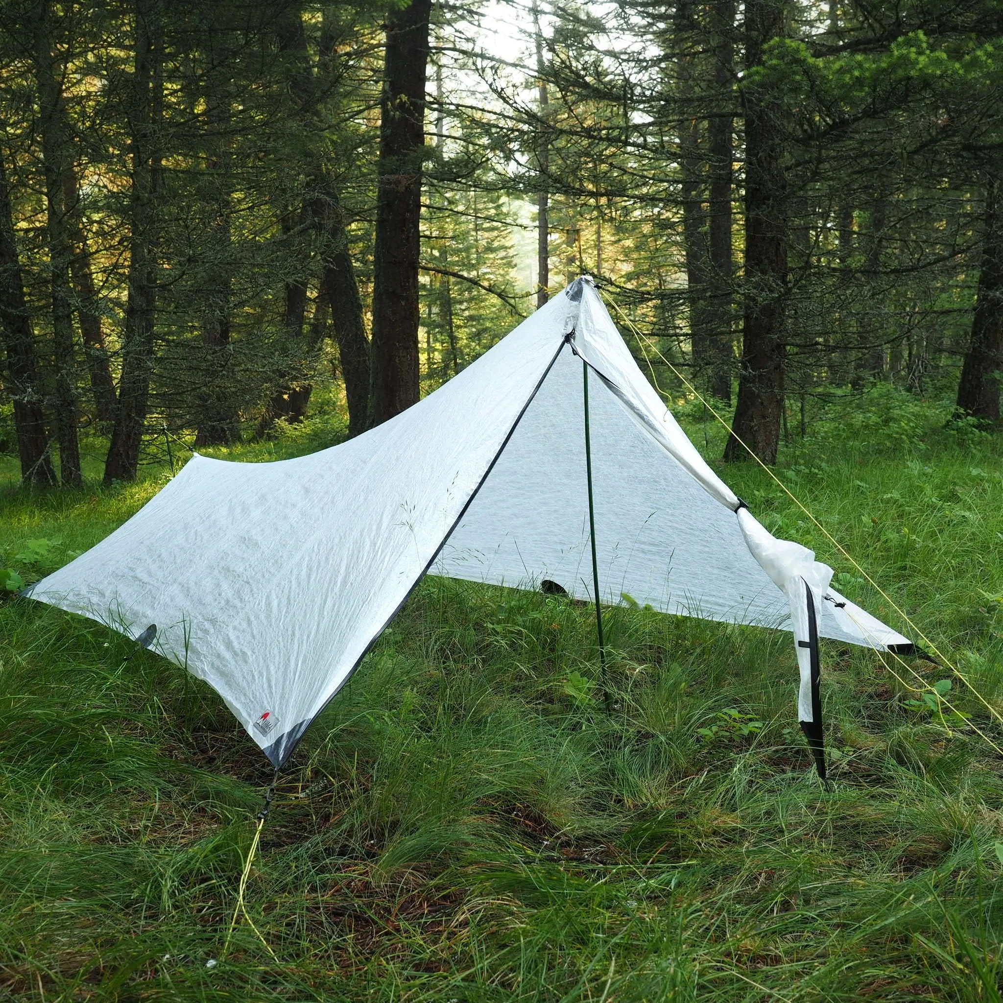 1P Cirriform Tarp - DCF