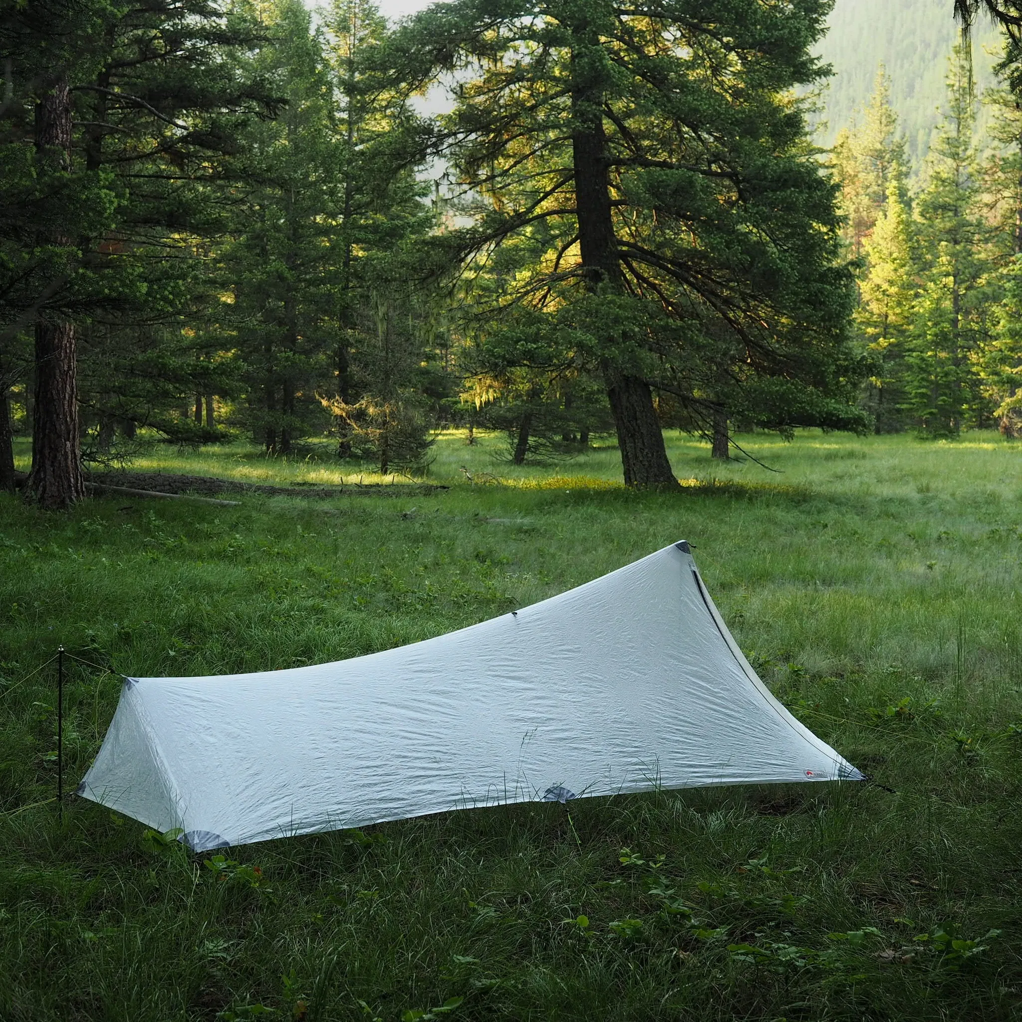 1P Cirriform Tarp - DCF