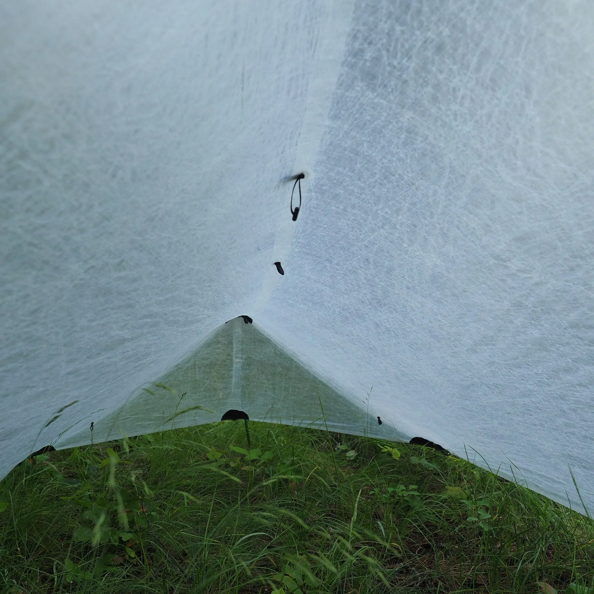 1P Cirriform Tarp - DCF