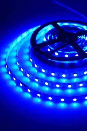 5050 Strip Light 300 LED 5M Non-Waterproof - Blue