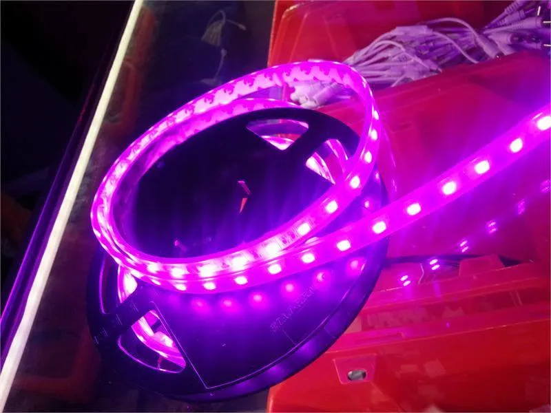 5050SMD NovaBright Pink Flexible Waterproof LED Light  Strip 16 Ft Reel Kit