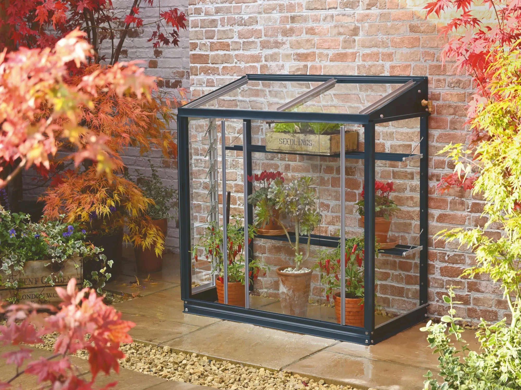 Access Harlow 3' 4" Lean-to Mini Greenhouse