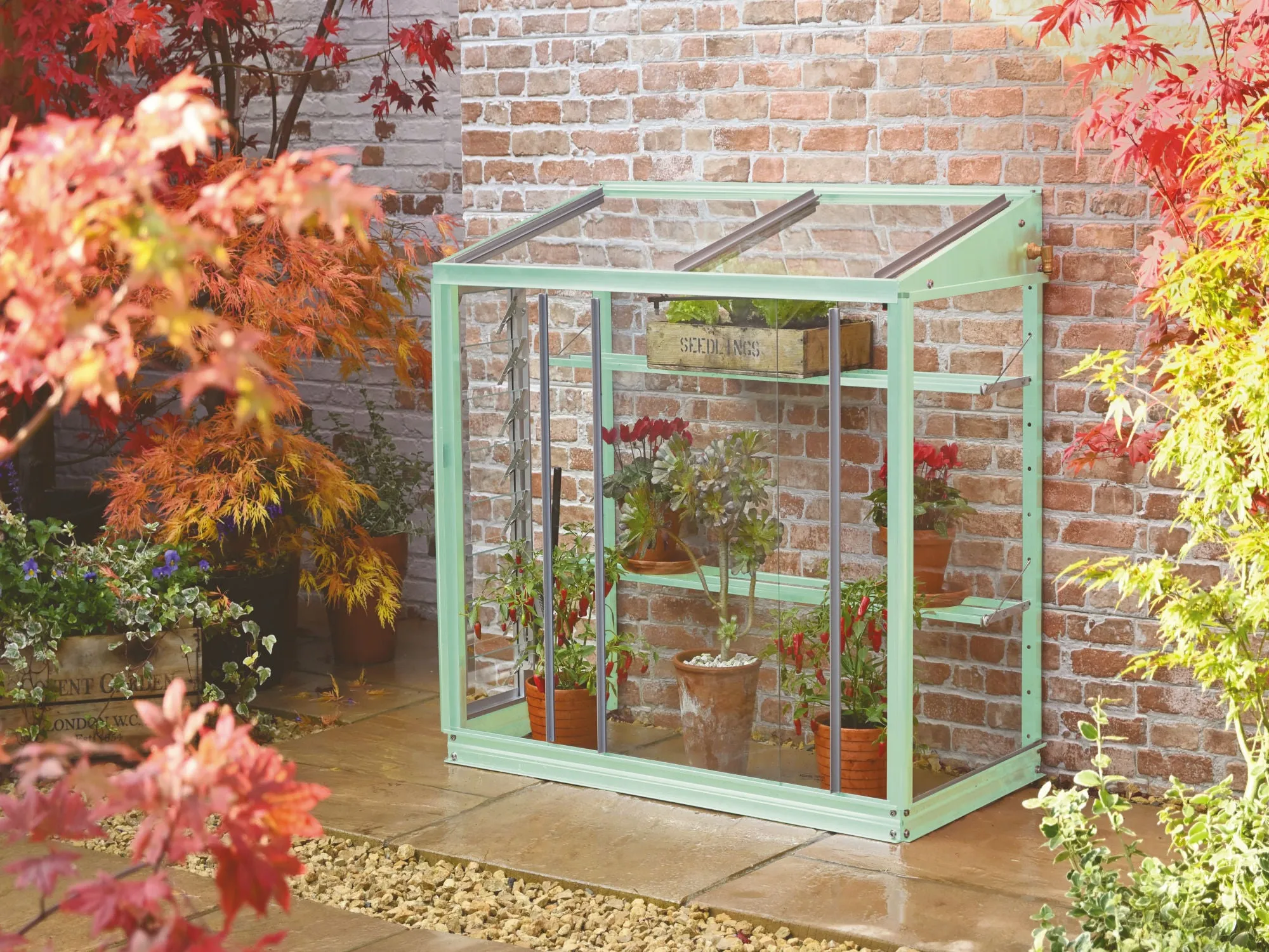 Access Harlow 3' 4" Lean-to Mini Greenhouse