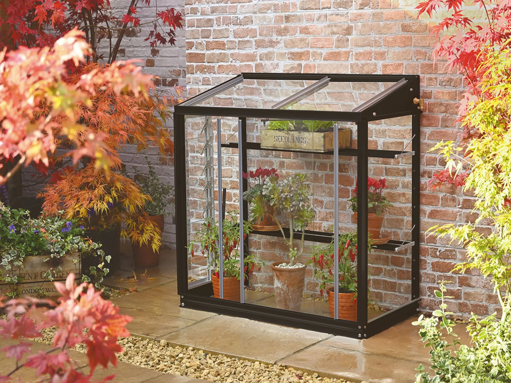 Access Harlow 3' 4" Lean-to Mini Greenhouse