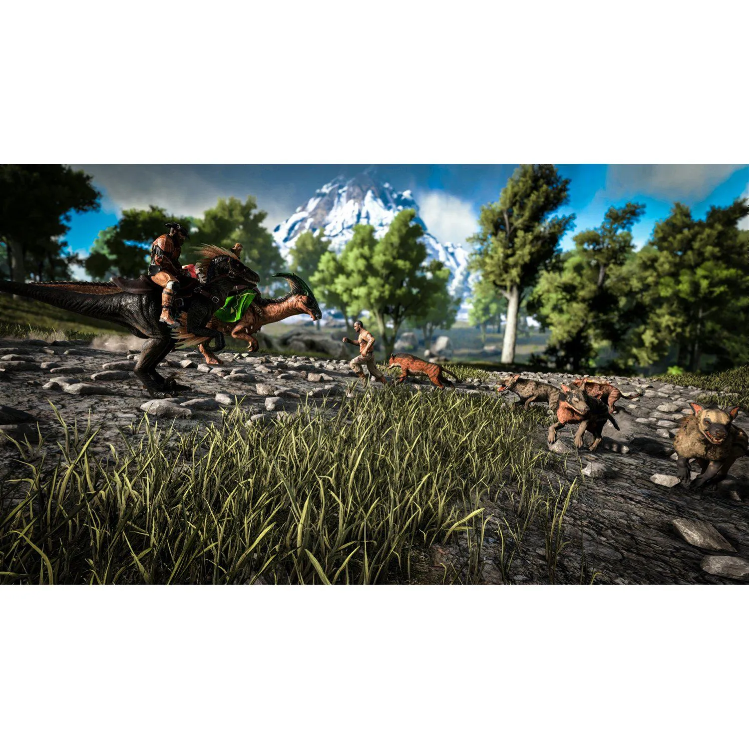 Ark: Survival Evolved - PlayStation 4 (US)