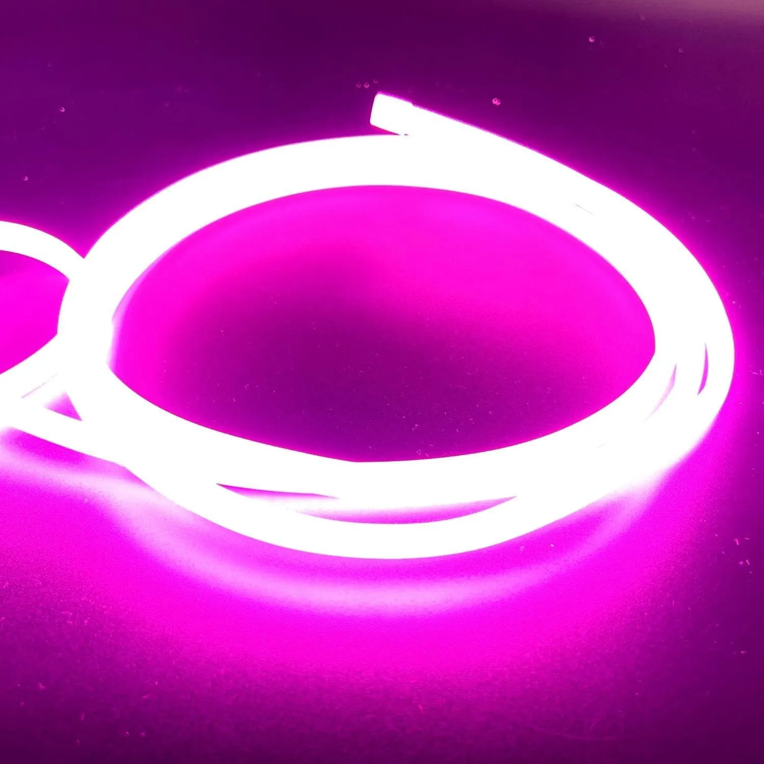 COB LED Strip Light Pink Neon Flex 220V 240V 288 LEDs/m IP65 with UK Plug