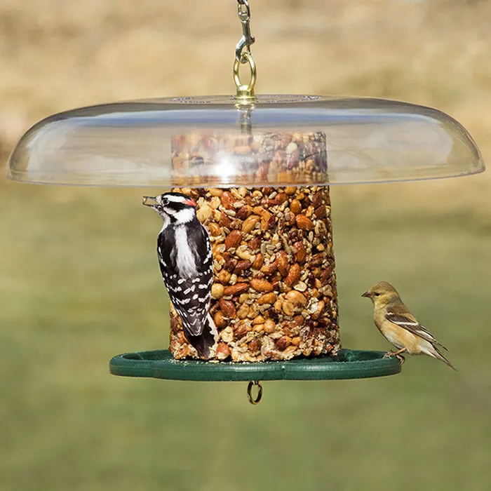 Duncraft Baffled Bird Seed Cylinder Feeder