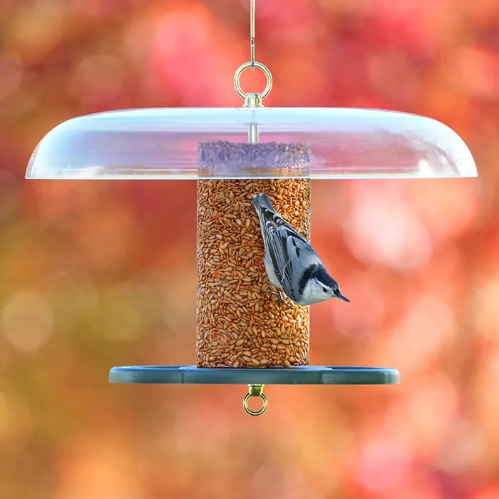 Duncraft Baffled Bird Seed Cylinder Feeder