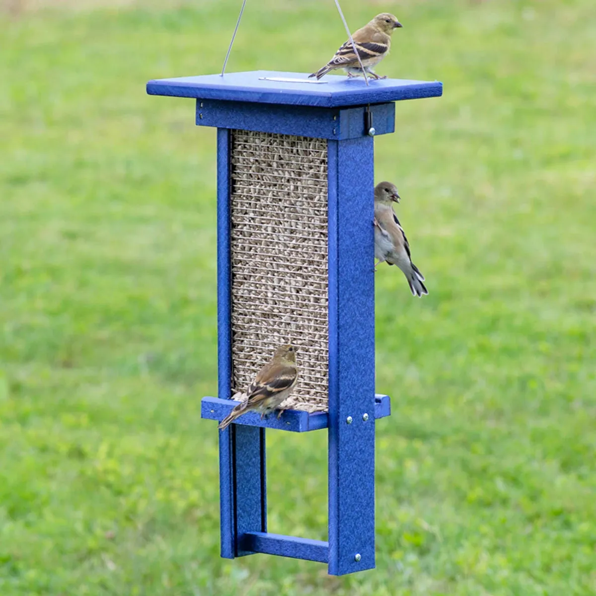 Duncraft Blue Ridge Mesh Sunflower Feeder