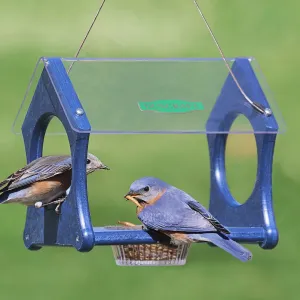 Duncraft Bluebird Delight Feeder