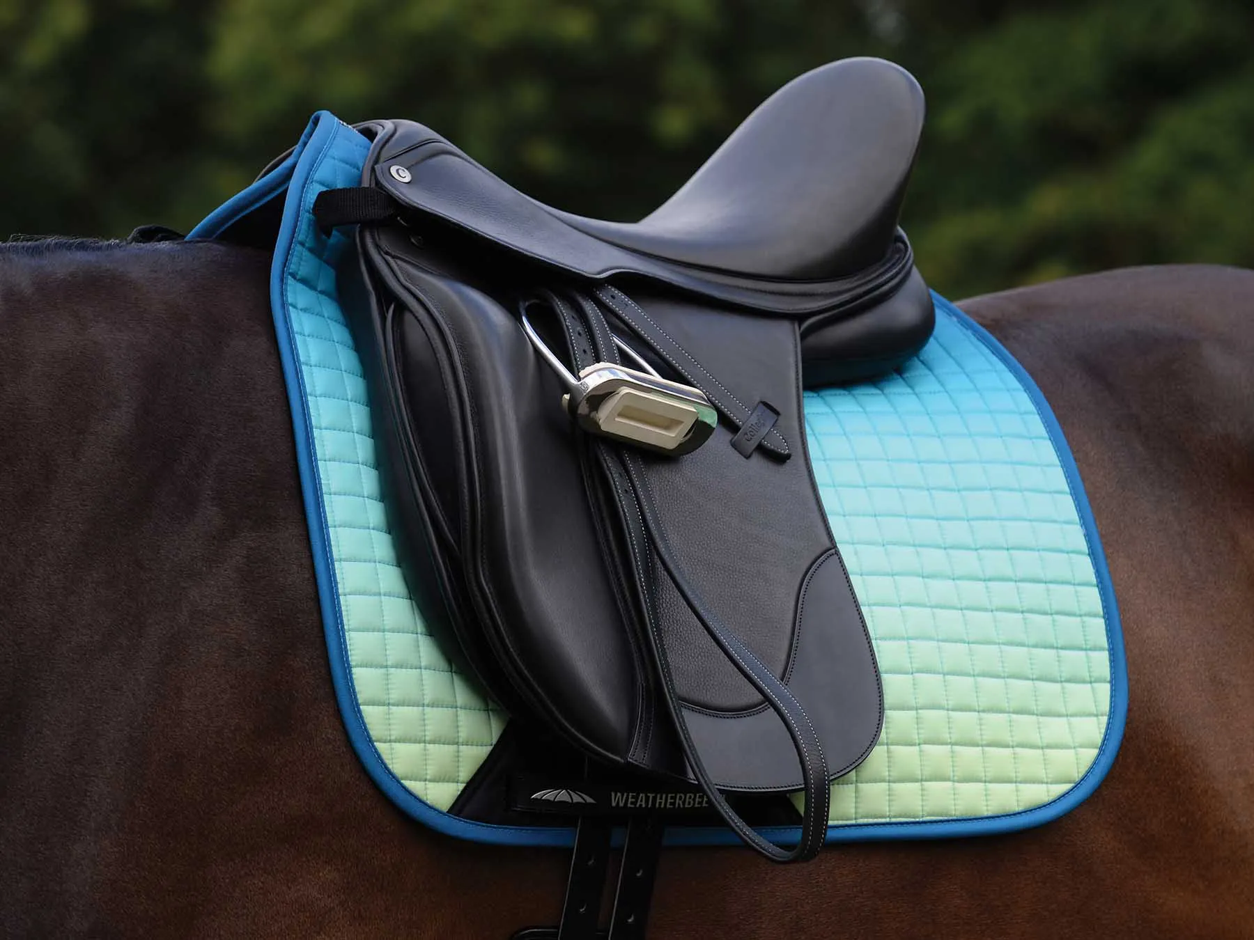 WeatherBeeta Prime Ombre Dressage Saddle Pad